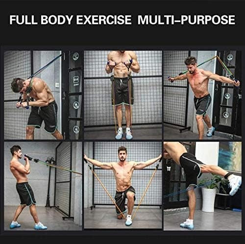 FlexR® — Complete 11-Piece Home Gym Resistance Band Set