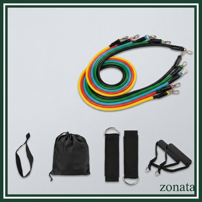 FlexR® — Complete 11-Piece Home Gym Resistance Band Set